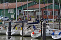 Blick durchs Mastengewirr