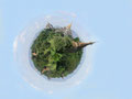 D4 - Bagan