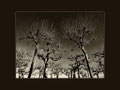 M2 - Winter  - 19 Punkte
