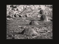 M2 - Erosion  --  19 Pkte