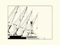 M1 - Crane  -- 15 Pkte