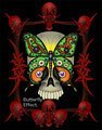 Art work for Butterfly Effect. (Band)