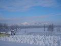 1．6　雪が積もってお化けの行進です