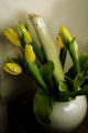 Spring Fever