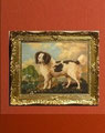 " Water Spaniel" after George Stubbs (1724- 1806)