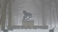Tiergarten, Berlin 1