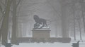 Tiergarten, Berlin 1