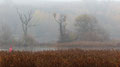 An der Oder
