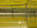 Uckermark 3