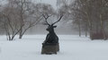 Tiergarten, Berlin 3