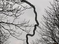 Georg Elser
