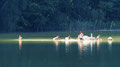 Am See