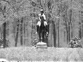 Tiergarten – Berlin