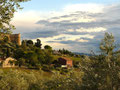 Magliano in Toscana