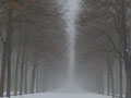 Tiergarten, Berlin 2