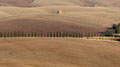 Maremma 1
