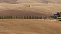 Maremma 1