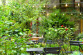 Biergarten, Clärchens Ballhaus, Berlin