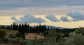Maremma 3
