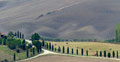 Bei Pienza - Italien