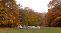 Berlin -Tiergarten 