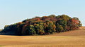 Bei Altkünkendorf  - Uckermark 1