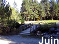JUIN