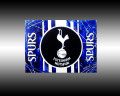 - tottenham hotspur - Größe 80 x 60 cm, Sylvio Zornsch, Bilder, paintings