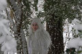 Fantasie & Wirklichkeit Fotografien und Gedichte Kathrin Steiger Winter Schnee Schneefee Schneeelfe Schnee-Elfe Winterfee Winterelfe Fairy Snow Fairy Fairies