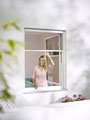 Neher Rollo Fenster