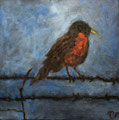 6313...12x12: oil on canvas: "robin" s 20 *