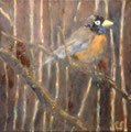 5627...12x12: oil on canvas: "robin" sp17