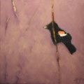 5653...12x12: oil on canvas: "red-winged blackbird" sp17