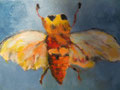 5153...8x10: oil on canvas: "cicada" f 14