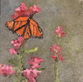 5733...12x12: oil on canvas: "monarch" s 17