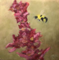 5731...12x12: oil on canvas: "bee" s 17