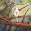 5809...12x12: oil on canvas: "blue jay" f 17