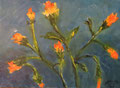 4733...12x16: oil on canvas: "thistle" f12