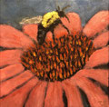 6112...8x8: oil on canvas: "coneflower" sp19