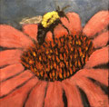 6112...8x8: oil on canvas: "coneflower" sp19