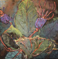 5564...12x12: oil on canvas: "purple buds" s 16