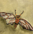 6228...8x8: oil on canvas: "mana cicada" f 19