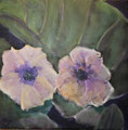 5488...12x12: oil on canvas: "2 flowers" s 16