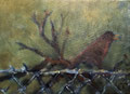 6033...9x12: oil on canvas: "shadow bird" f 18