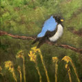 6471....8x8: oil on canvas: "tree swallow" sp 21