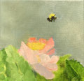 6226...8x8: oil on canvas: "bee" f 19