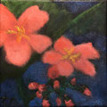 6281...8x8: oil on canvas: "pink flowers" w 20