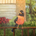 5938...12x12: oil on canvas: "mad robin" s 18