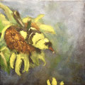 5778...12x12: oil on canvas: "yellow finch" s 17