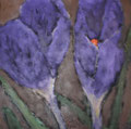 5484...12x12: oil on canvas: "purple flower" s 16